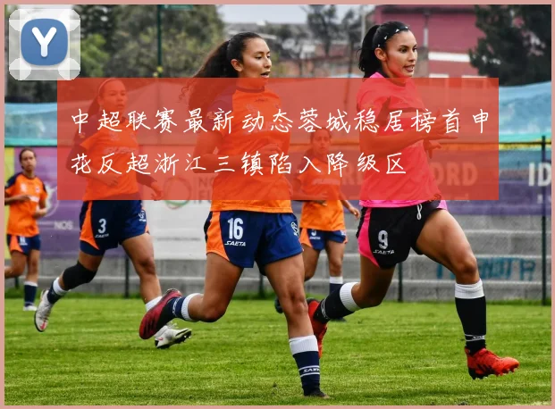 中超联赛最新动态蓉城稳居榜首申花反超浙江三镇陷入降级区